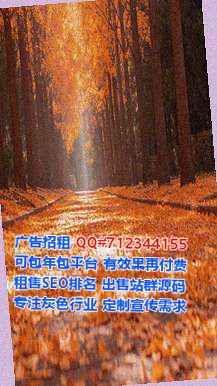 荆州供卵翻译经营部